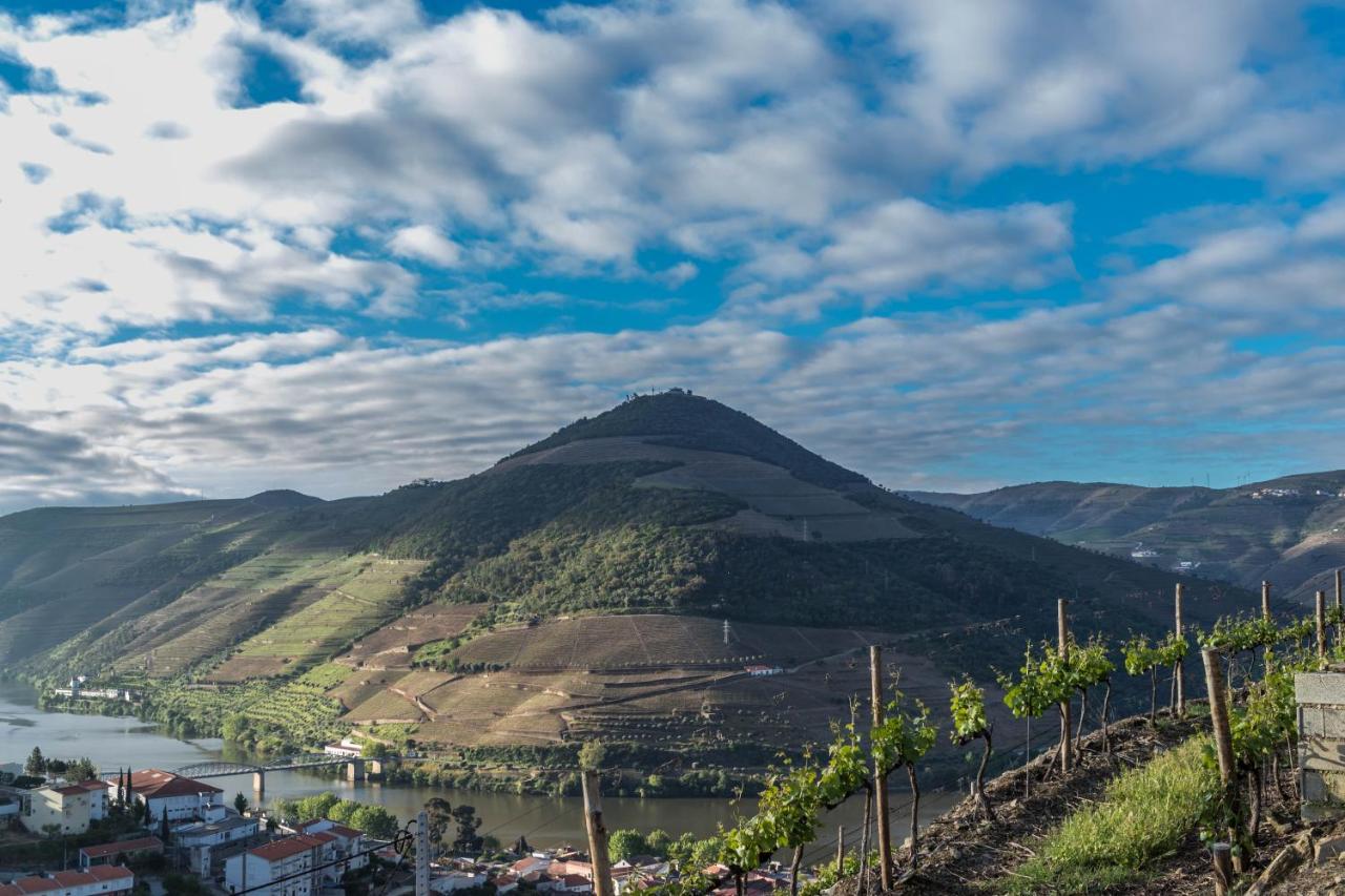 Dois Lagares House Bed & Breakfast Pinhão Екстериор снимка
