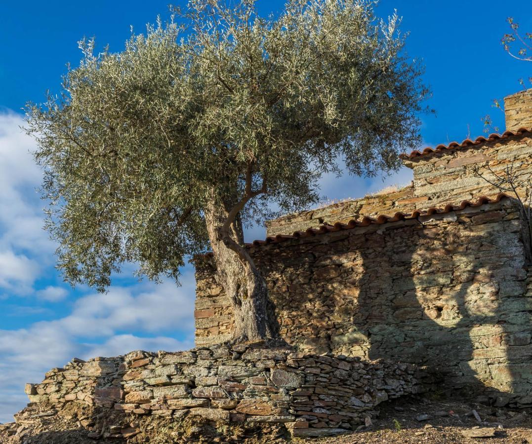 Dois Lagares House Bed & Breakfast Pinhão Екстериор снимка