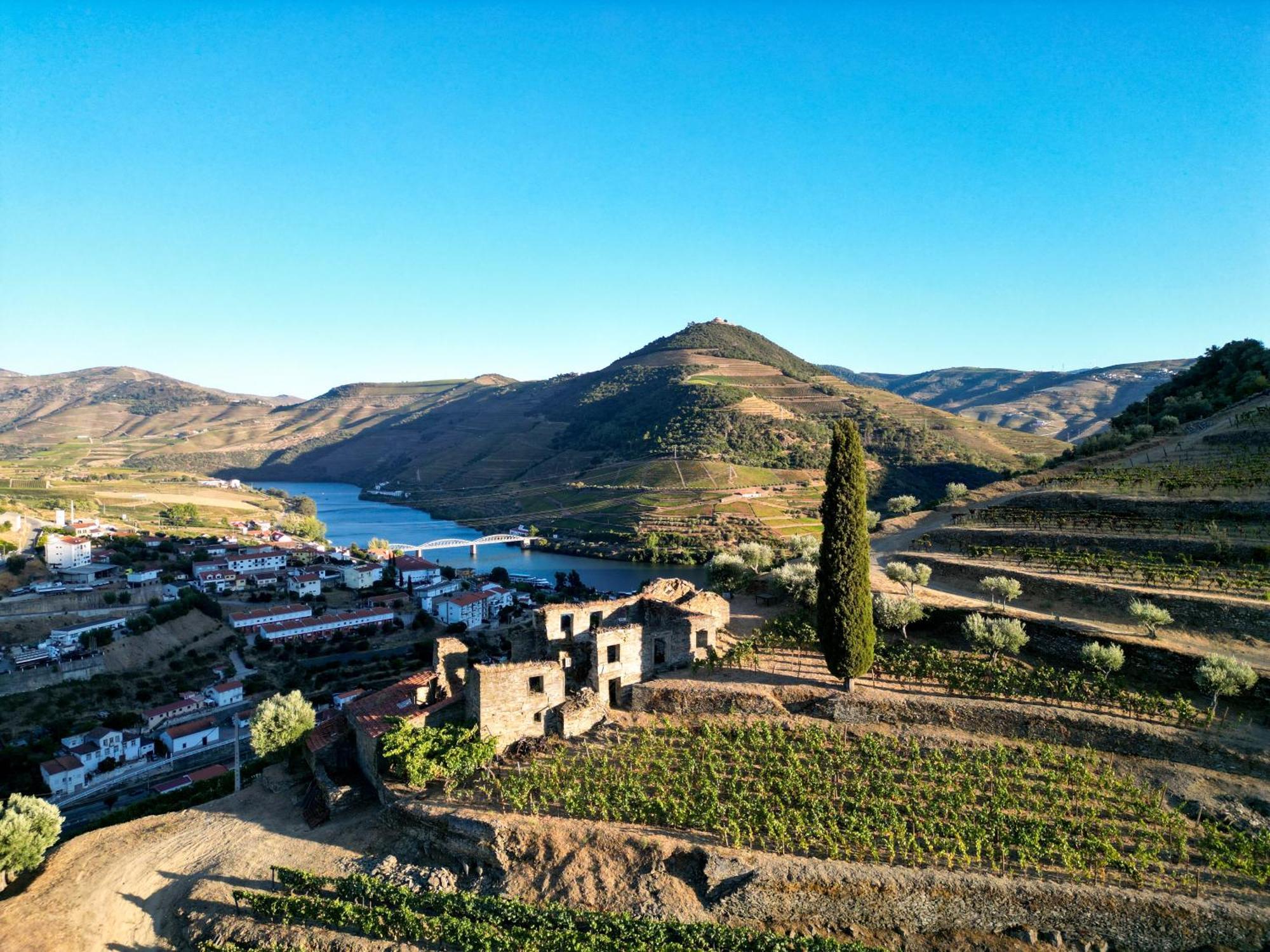 Dois Lagares House Bed & Breakfast Pinhão Екстериор снимка